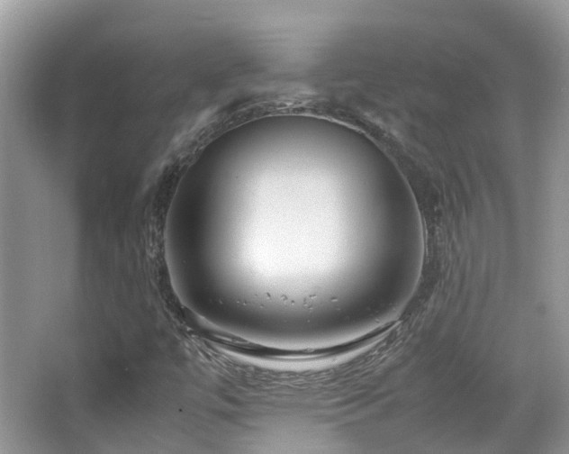 X0000065251447200602171415
