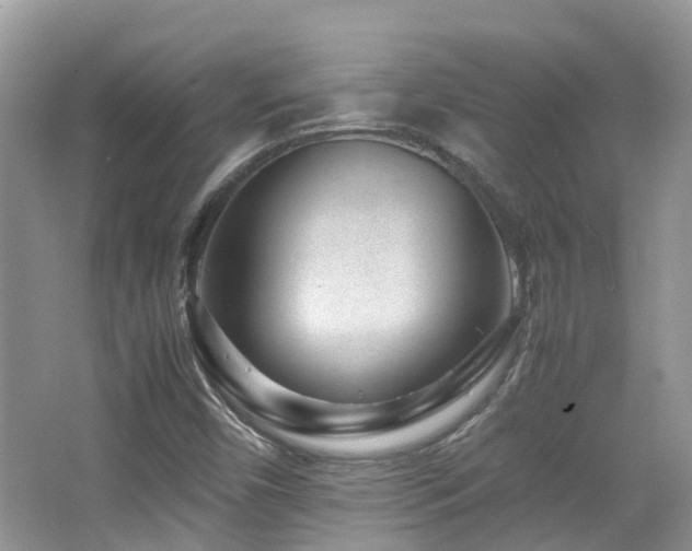 X0000065251450200602171415