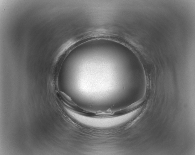 X0000065251453200602171415