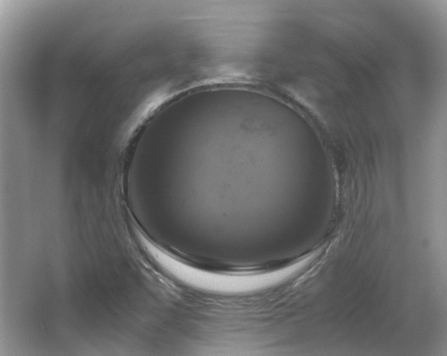 X0000065251455200602171415