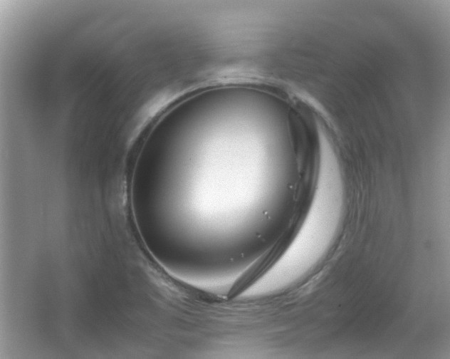 X0000065251461200602171415