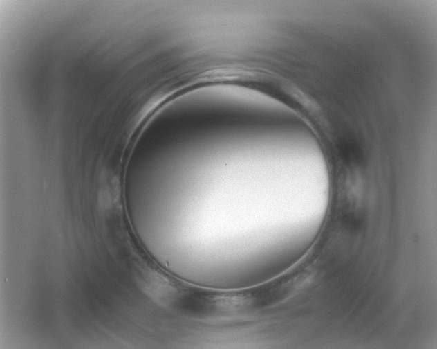X0000065251465200602171415