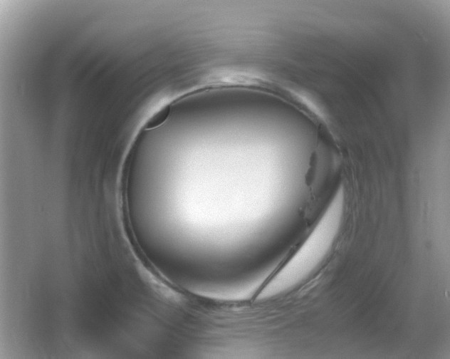 X0000065251471200602171414