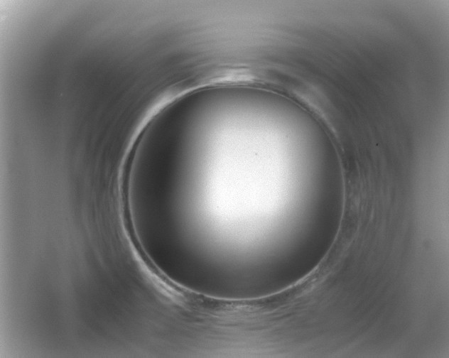 X0000065251475200602171414