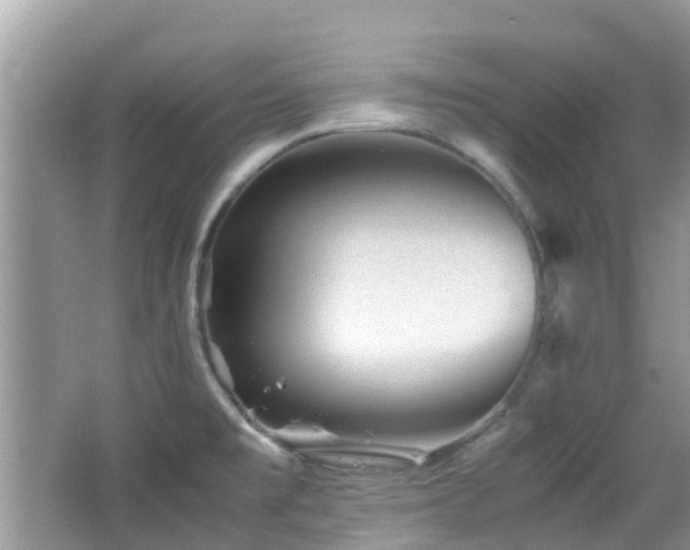 X0000065251477200602171414