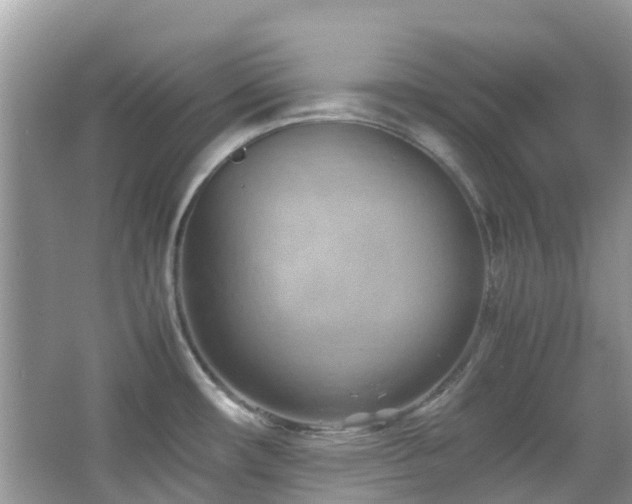 X0000065251482200602171414