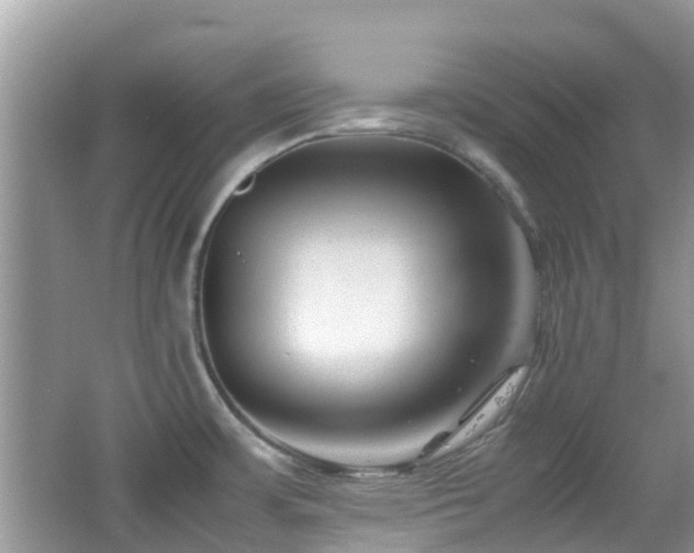 X0000065251483200602171414