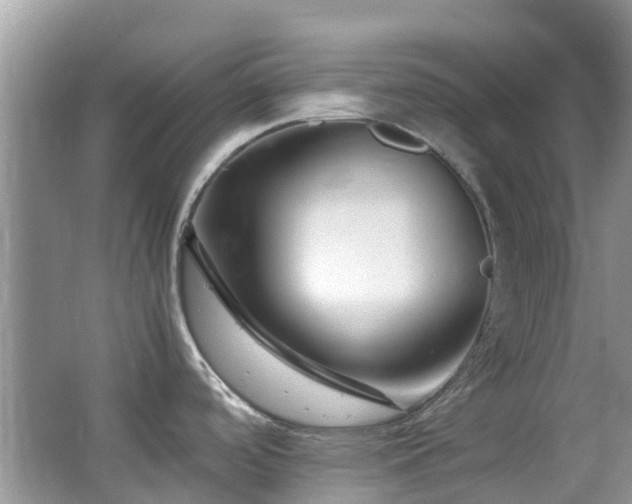 X0000065251488200602171414