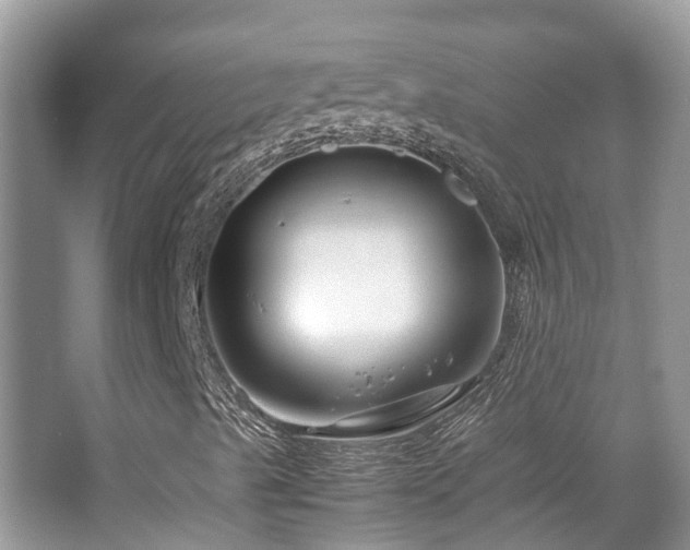 X0000065251489200602171413