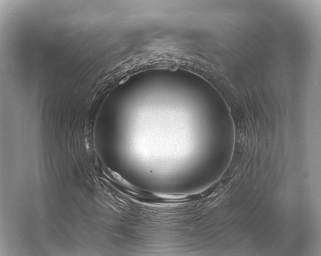 X0000065251490200602171413
