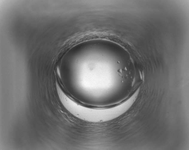 X0000065251492200602171413