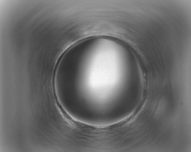 X0000065251513200602171414