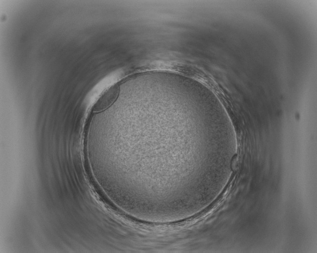 X0000065250006200602211236