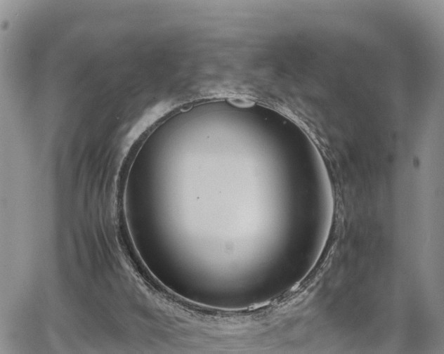 X0000065250008200602211236