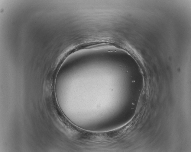 X0000065250107200602211234