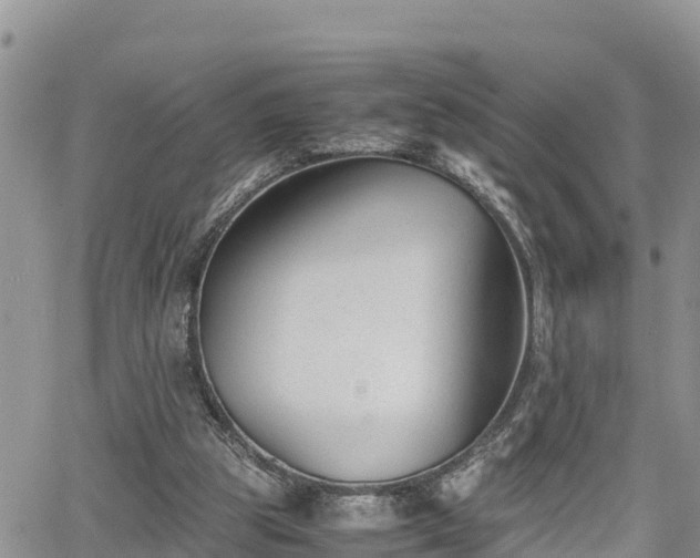 X0000065250153200602211233