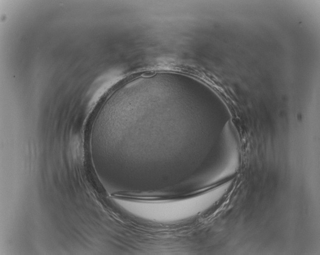 X0000065250200200602211233