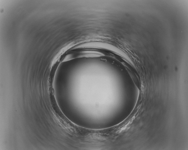 X0000065250244200602211232