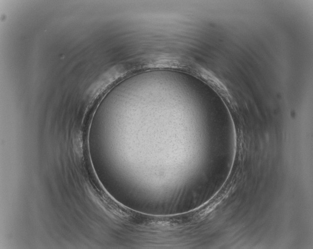X0000065250298200602211231
