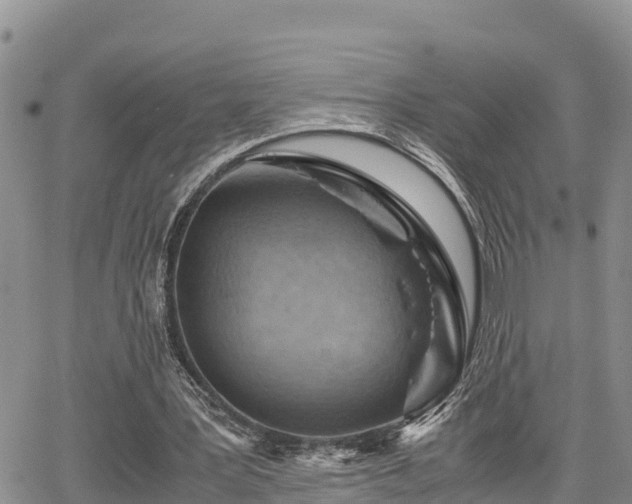 X0000065250387200602211230