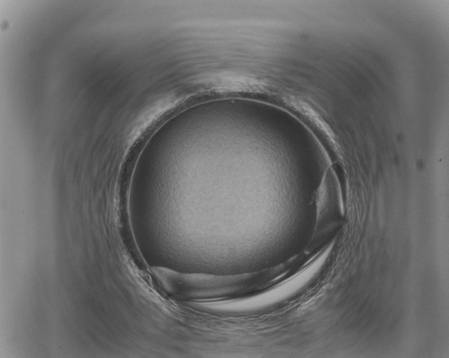 X0000065250391200602211230