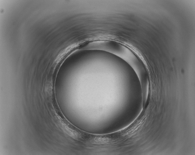 X0000065250437200602211228