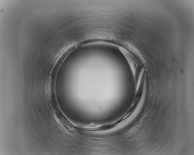 X0000065250580200602211227