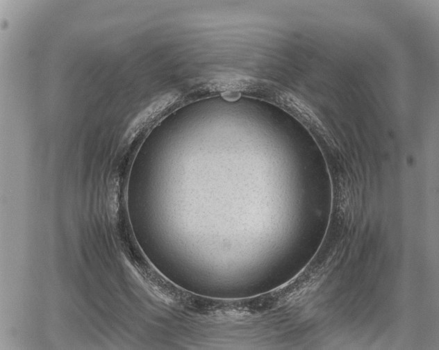 X0000065250586200602211227