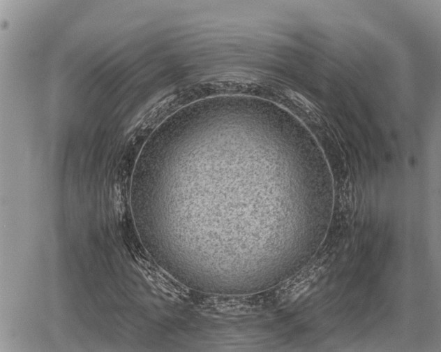 X0000065250774200602211224
