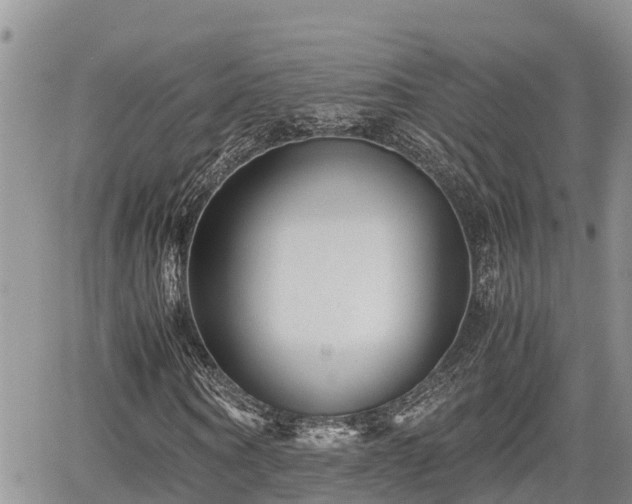 X0000065250866200602211222