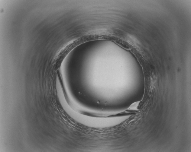 X0000065250872200602211222