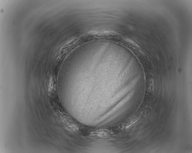 X0000065250966200602211220