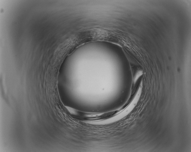 X0000065251153200602211217
