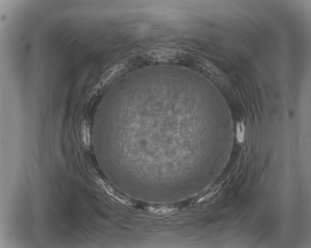 X0000065251155200602211217
