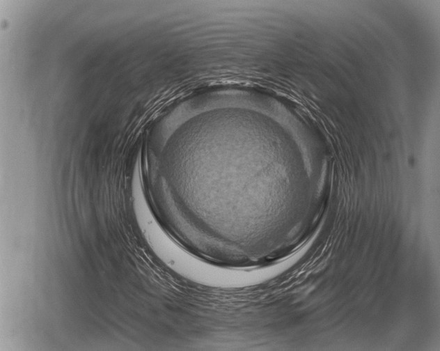 X0000065251202200602211216