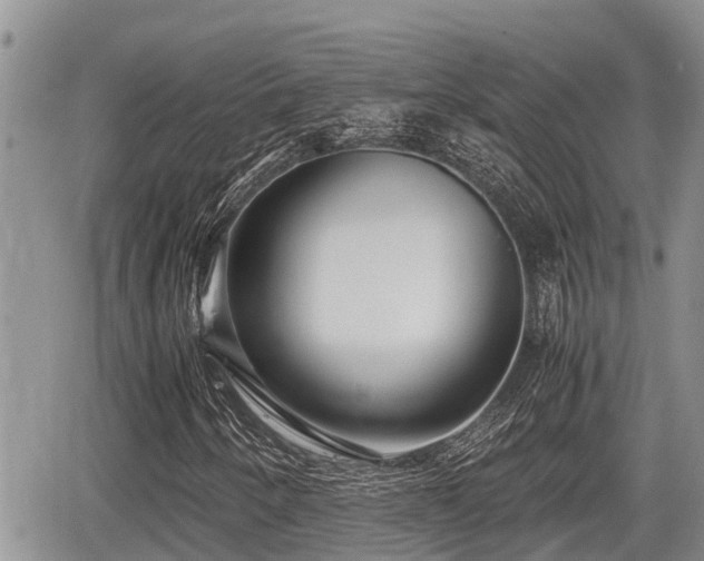 X0000065251250200602211216