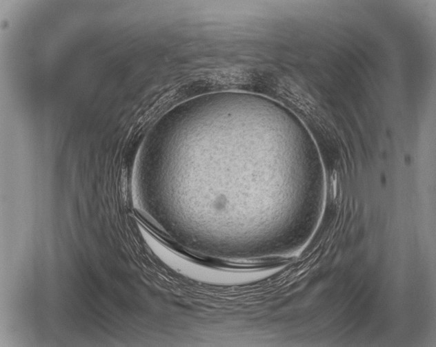 X0000065251251200602211216