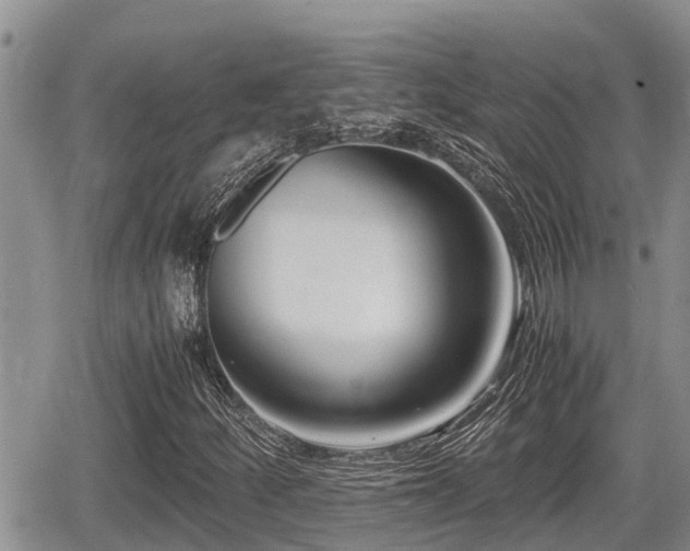 X0000065251252200602211216