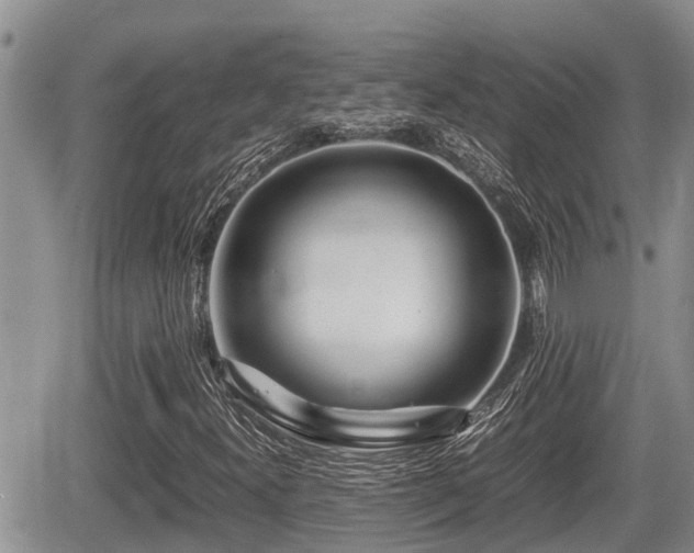 X0000065251300200602211214