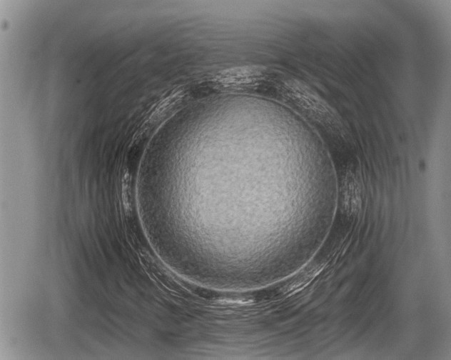 X0000065251346200602211214