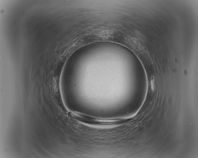 X0000065251347200602211214