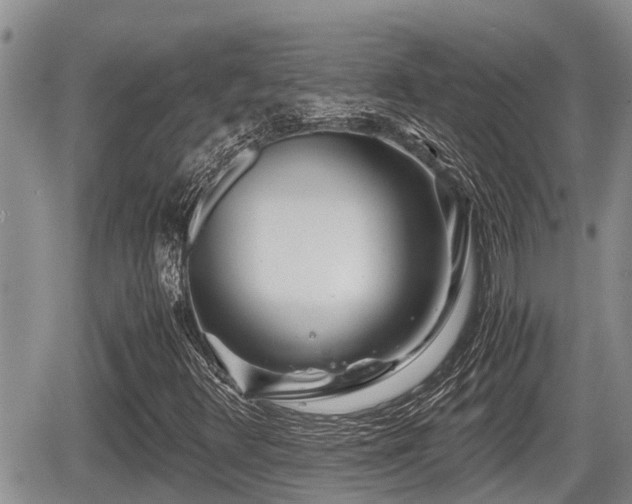 X0000065251348200602211214
