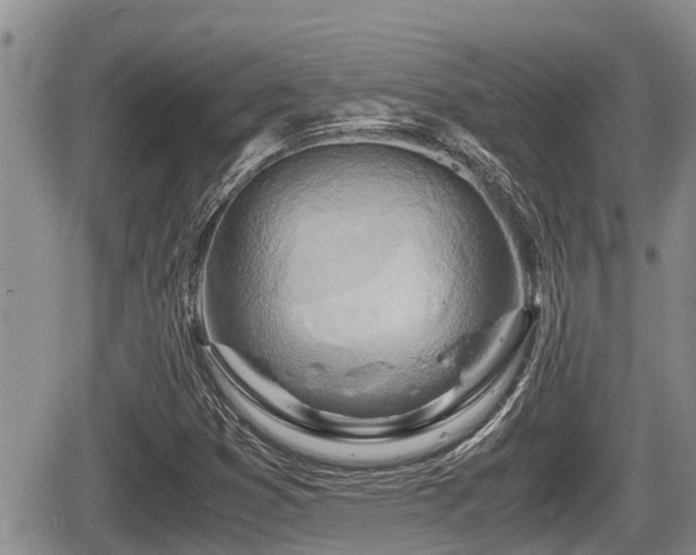 X0000065251353200602211214