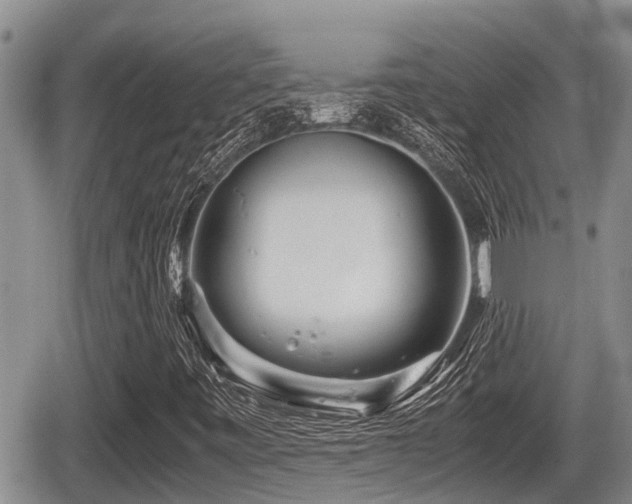 X0000065251443200602211213