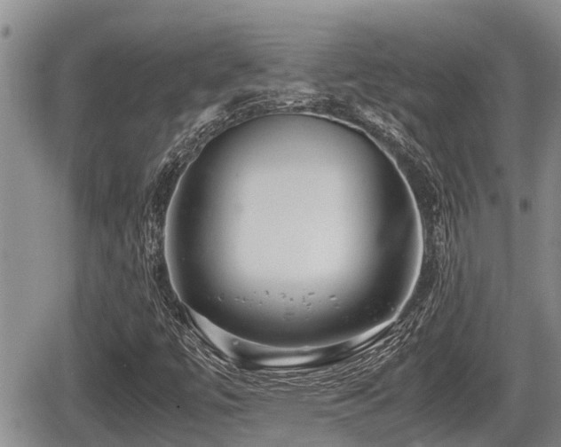 X0000065251447200602211213