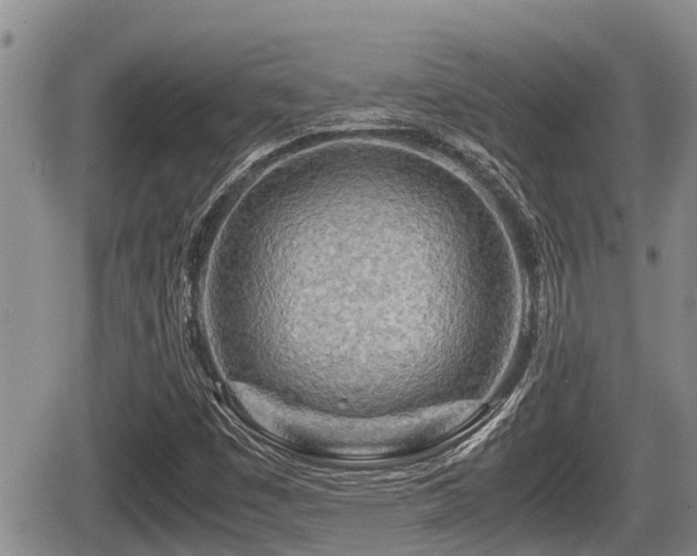 X0000065251449200602211213