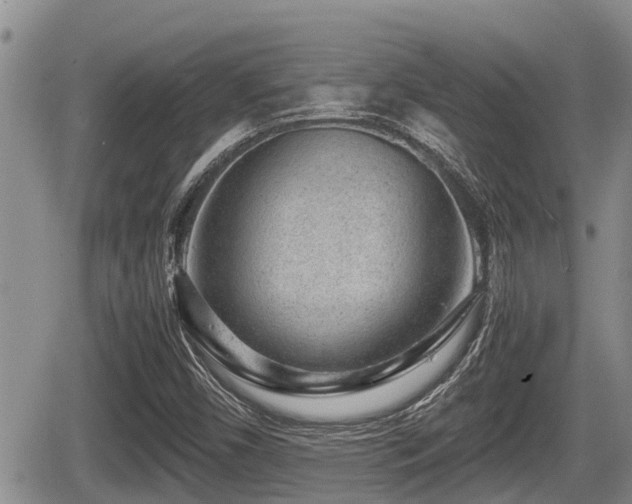 X0000065251450200602211213