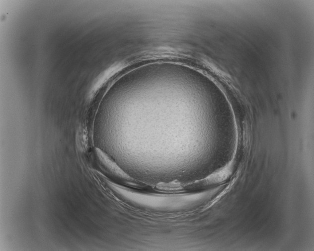 X0000065251453200602211213