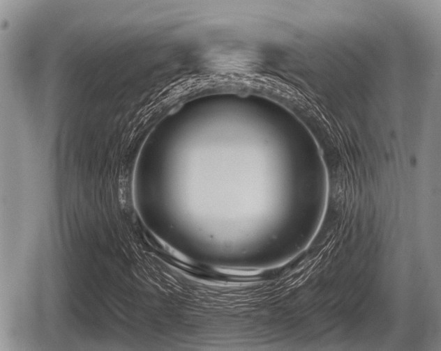 X0000065251490200602211211