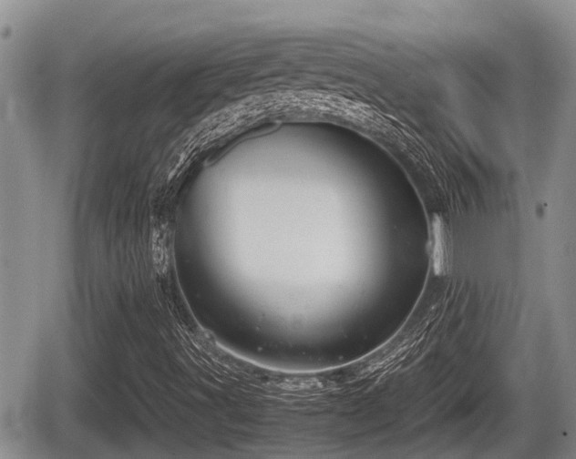 X0000065251491200602211211